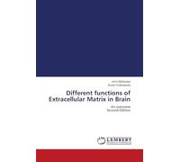 Different functions of Extracellular Matrix in Brain: An overview Second Edition