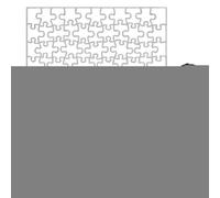 Difficult Puzzle, Sensory Clear Acrylic Set, Transparent Jigsaw Brain, Teaser Adults Teens, Impossible Puzzles Challenge for Teachers, Family, Students, Friends, Game Night, 14.8/11.2/4.3 Inches