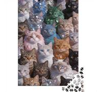 Dificultad Alta e Interesante Puzzle 1000 Piezas Cartón Puzzle Grande Adulto Difícil Muchos Gatos Coleccionistas Padres E Hijos 70x50cm/1000pcs
