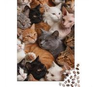 Dificultad Alta e Interesante Puzzle 1000 Piezas Cartón Puzzle Grande Adulto Difícil Muchos Gatos Educa Padres E Hijos 38x26cm/1000pcs