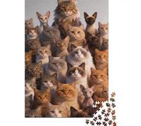Dificultad Alta e Interesante Puzzle 1000 Piezas Cartón Puzzle Grande Adulto Difícil Muchos Gatos Puzzle Familiar Padres E Hijos 52x38cm/1000pcs