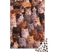 Dificultad Alta e Interesante Puzzle 1000 Piezas Cartón Puzzle Grande Adulto Relajarse Muchos Gatos Coleccionistas Padres E Hijos 52x38cm/1000pcs