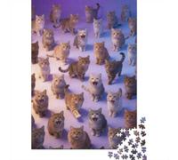 Dificultad Alta e Interesante Puzzle 1000 Piezas Cartón Puzzle Grande Adulto Relajarse Muchos Gatos Puzzle Familiar Padres E Hijos 52x38cm/1000pcs