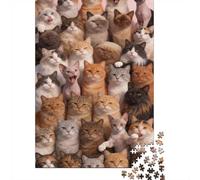 Dificultad Alta e Interesante Puzzle 1000 Piezas Cartón Puzzle Grande Adulto Relajarse Muchos Gatos Educa Padres E Hijos 38x26cm/1000pcs