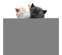 Difusor Aromático Para Rejillas | Difusor Acrílico Plano Bidimensional - Decorativo de Gato para Viajes en Furgoneta Hogar Trabajo Verano