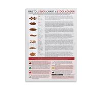 Digestive Health Poster Bristol Stool Chart Canvas Print for Medical Office Patient Education Bathroom Wall Decor(Framed,16X24inch(40X60cm))