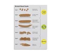 Digestive System Bristol Stool Chart - Health Reference Poster for Medical Clinic, Office, Bathroom Decor(Unframed,16x24inch(40x60cm))