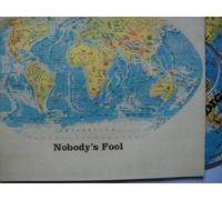 Diggers - Nobodys Fool