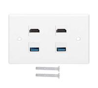 Digital Interface Wall Plate with USB Ports | 2 Digital Interface Female to Female & 2 USB Wall Panel | Shock Tolerant ABS for Home/Hotel/Office | Easy Mount Installation Kit
