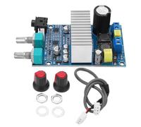Digital Mono Amplifier, 100 W Mono Amplifier, Digital Audio Amplifier, Subwoofer Amplifier Module, Mono Amplifier Board 100W Subwoofer Digital Audio Amplifier Module for Karaoke and Home Theater