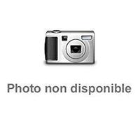 Digital Orchestra - Boys & Girls Mixed Party