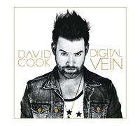 Digital Vein by David Cook