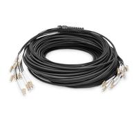 Digitus Cable de Fibra Óptica LC a UPC OM4 Multimodo 12 Fibras 100m Vorkonfektioniert
