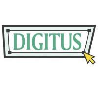 Digitus DN-31306 Armario de servidor de la serie Unique Server-N - 800x1000 mm (AnxF)