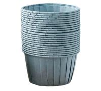 Diheohg Moldes para cupcakes, moldes para muffins para el hogar, bandejas de papel resistentes a altas temperaturas, moldes de vapor para postres para horno D