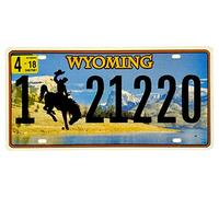 DiiliHiiri Placa de Matrícula de Coche de EE.UU. Réplica de Cartel Americana Vintage - Decoración Retro para Bar - Pub - Cafetería - Cueva de Hombre - Garage o Taller -15x30cm-Afiche - (2651-19)