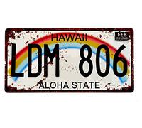 DiiliHiiri Placa de Matrícula de Coche de EE.UU. Réplica de Cartel Americana Vintage - Decoración Retro para Bar - Pub - Cafetería - Cueva de Hombre - Garage o Taller -15x30cm-Afiche - (2651-8)