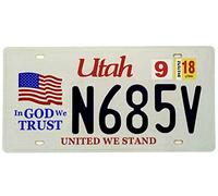 DiiliHiiri Placa de Matrícula de Coche de EE. UU. Réplicas de Placas Americanas EE.UU - Decoración para Bar - Pub - Cafetería - Cueva de Hombre - Garage o Taller -15x30cm-Afiche - Cartel (2651-31)