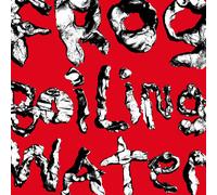 DIIV, Frog In Boiling Water (Vinilo)