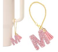 Dijes de Letras para Vasos con Asa, Dije de Letra de Copa con Purpurina Dije de Letra Inicial de Identificación de Nombre Dije de Letra Lindo para Copa Stanley (Letra M)