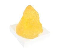 dijiusidy Modelo de motivación para la Grasa Corporal. Visualización de la Grasa Corporal Humana. Recursos para nutricionistas. Tamaño Compacto 7 cm Que Garantiza Durabilidad y longevidad. Modelo