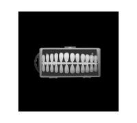 dijiusidy Paquete de 240 Extensiones de uñas postizas para Manualidades, Puntas Falsas para Manualidades, Juego de Herramientas de manicura pegajosas para práctica portátil, Tipo 4