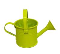 dijiusidy Regadera de Metal para niños, minibotella de Agua para Exteriores, regadera pequeña de Metal, regadera para niños, do