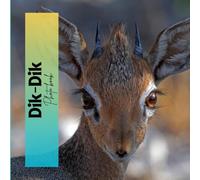 Dik-Dik: Photo book