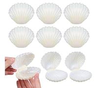 DIKACA 30 Cajas de Dulces Forma de Concha Plástico Rígido Color Perlado Pequeño para Regalos y Recuerdos de Fiesta Estuche para Joyas y Almacenamiento Decorativo
