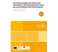 Diligencia debida en derechos humanos y responsabilidad penal de las empresas multinacionales (Monografías)