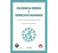Diligencia debida y derechos humanos: 1 (Monografías)