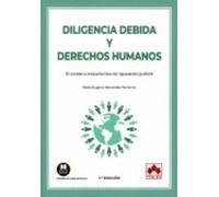 Diligencia Debida Y Derechos Humanos. El Acceso A Mecanismos De Repara
