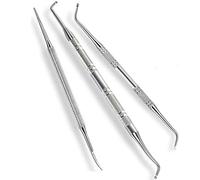 DILISEN Juego de Herramientas de pedicura quirúrgica Profesional (3 Piezas) Tratamiento de uñas encarnadas, 2 Piezas de levantadores de uñas encarnadas y 1 PCS Kit de Limpiador de uñas con Lima de u