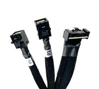 Diliving SlimSAS LP 8X a 2*MiniSAS HD 4X, SFF-8654 LP 74pin a 2*SFF-8643 36pin cable 80cm (adecuado para servidor Dell H750/755)