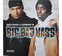 Dillinja & Lemon D - Big Bad Bass - (Generic Sleeve) - Valve Recordings