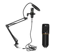 Dilwe CONTRATOR USB -MIKROPHONE Kit con Brazo Flexible y bajo Ruido para el Cuaderno de Escritorio de PC Grabación del Cuerpo del Tubo + Cabezal de Red Plateada (#1)