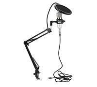 Dilwe CONTRATOR USB -MIKROPHONE Kit con Brazo Flexible y bajo Ruido para el Cuaderno de Escritorio de PC Grabación del Cuerpo del Tubo + Cabezal de Red Plateada (#4)