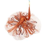 Dilwe Red de Pesca Automática, Red Fundida de 2,5x3,5 M, Ligera con Colgante de Acero para Trampa de Cebo, Accesorios de Pesca