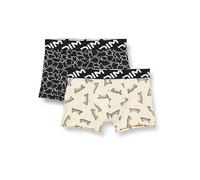 DIM Pack Bóxer Microfibra Reciclado x2, Bóxer para Niño, Multicolor, 16 años