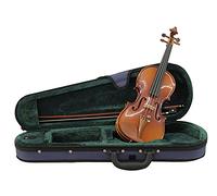 DIMAVERY Violín 1/4 con arco, en el asunto