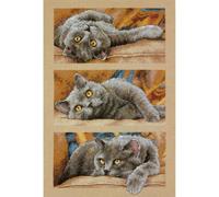 Dimensions Needlecraft Gato MAX Punto de Cruz, Algodón, Multicolor, 1.45x23.52x32.74 cm