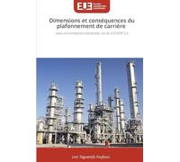 Dimensions et conséquences du plafonnement de carrière: dans une entreprise industrielle: cas de SOCAVER S.A