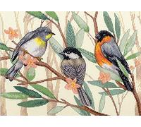 Dimensions Songbird Tree Toppers - Kit de punto de cruz contado, 14 quilates, marfil Aida, algodón, multicolor, proyecto terminado, 12 x 9 pulgadas