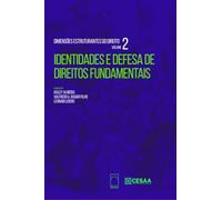 Dimensões Estruturantes do Direito, vol. 2 - Identidades e defesa de direitos fundamentais