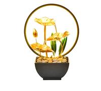 DIMEVE Fuente De Interior Con Luz LED para Decoración Del Hogar, Escritorio y Muebles De Oficina Sala