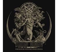 Dimmu Borgir - Puritanical Euphoric Misanthropia - Japanese Pressing
