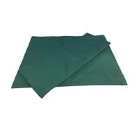 DimyFew Respaldo Y Asiento de Lona para Taburete/Silla Plegable de Director, Verde