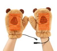 Dinchaakuarry Windproof Hand Warmer Gloves Heated Plush Thermal Wear Pair
