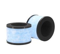 DingGreat Filtro HEPA de repuesto para AROEVE MK01, MK06, CONOPU DH-JH01, DH-JH06, Kloudi DH-JH01, Pomoron MJ001H - Filtración 3 en 1 (paquete de 2)