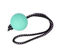 Dingo 17250 Bibi - Pelota de Entrenamiento con Mango de 30 cm, Color Menta